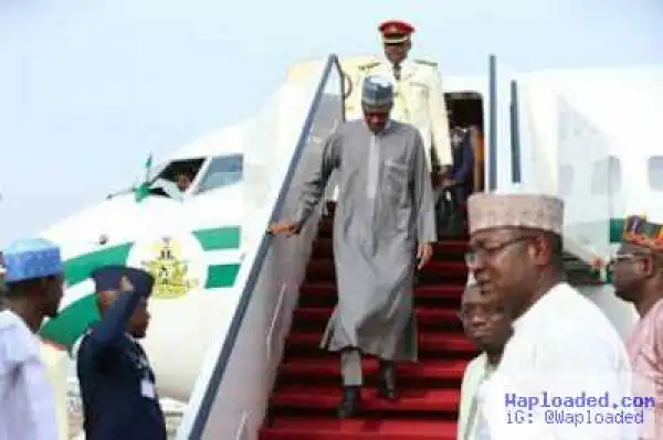 Do You Want To Wrestle Me? Buhari Challenges Journalist